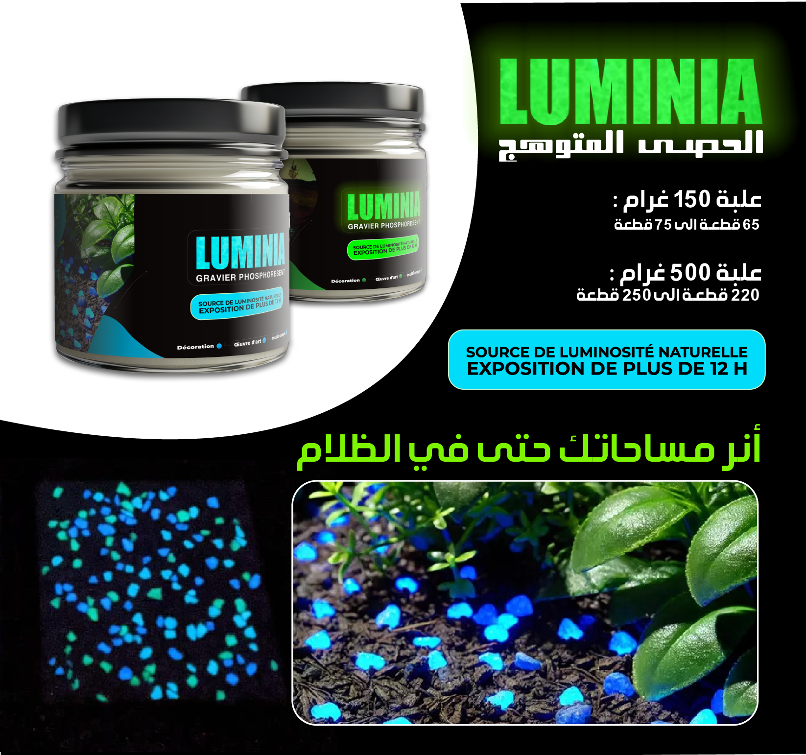 LUMINIA - الحصى  المتوهج
